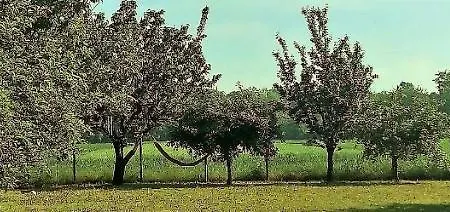 La Porta Stretta Padua